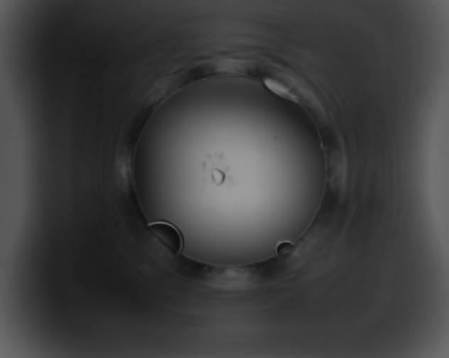 X0000100420329200806061408