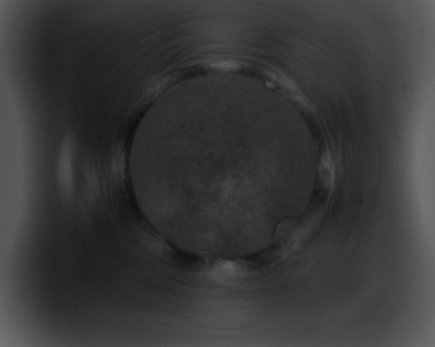 X0000100420330200806061408