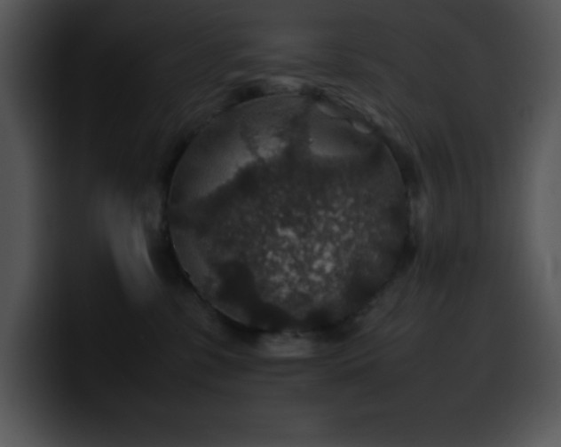 X0000100420331200806061408