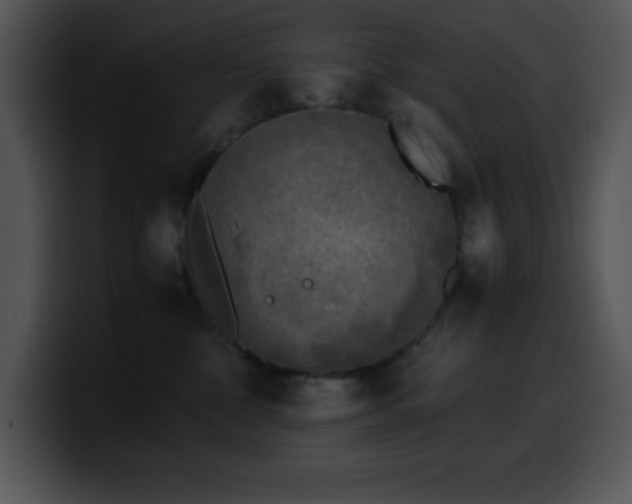 X0000100420332200806061408
