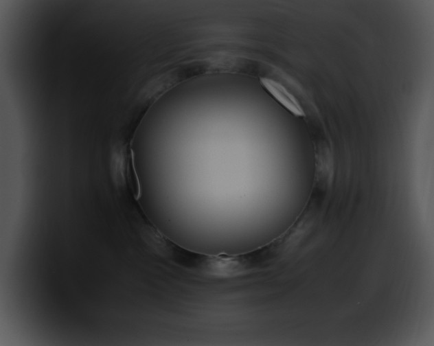 X0000100420333200806061408