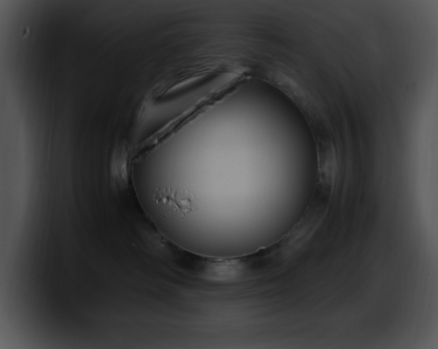 X0000100420334200806061408
