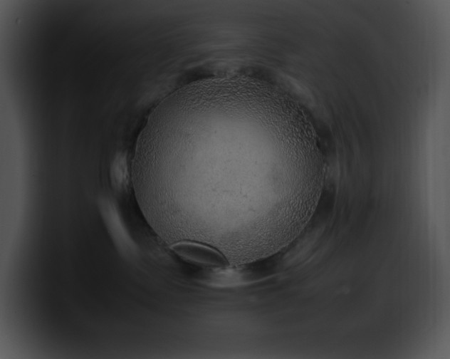 X0000100420335200806061408