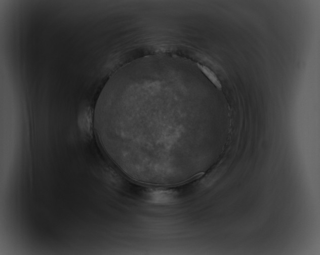 X0000100420336200806061408