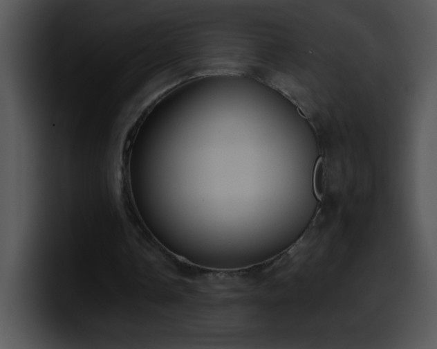 X0000100420338200806061407