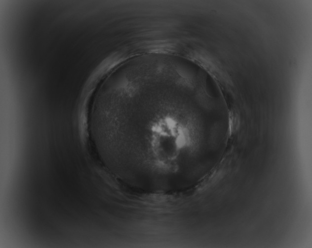 X0000100420339200806061407