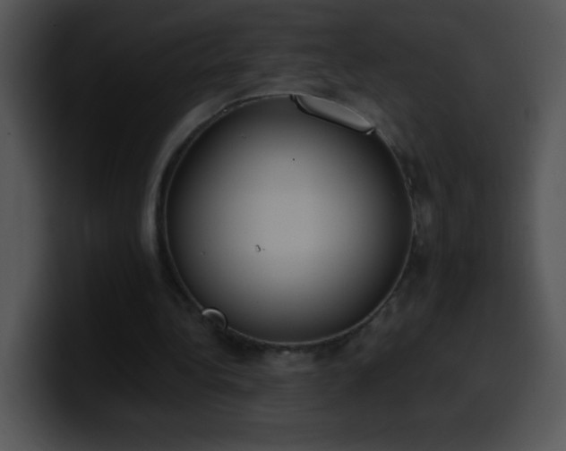 X0000100420340200806061407