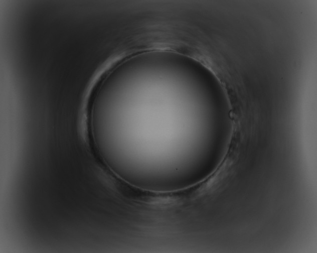 X0000100420342200806061408