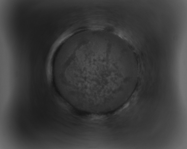 X0000100420343200806061408