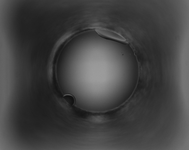 X0000100420344200806061408
