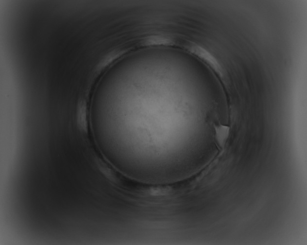 X0000100420345200806061408