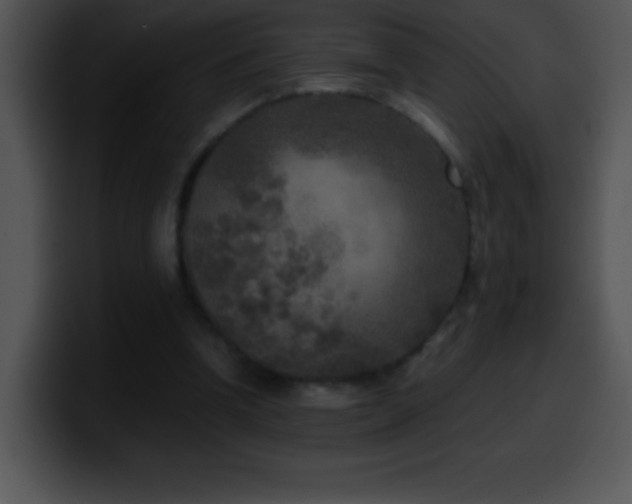X0000100420346200806061408