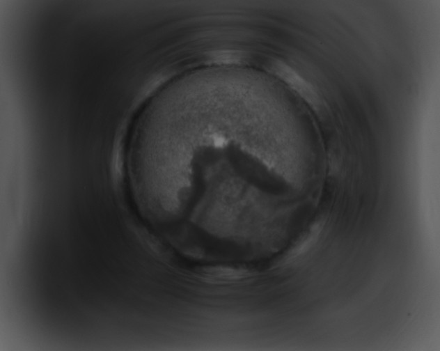 X0000100420347200806061408