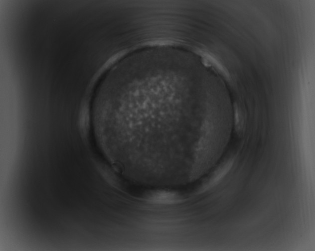 X0000100420348200806061408