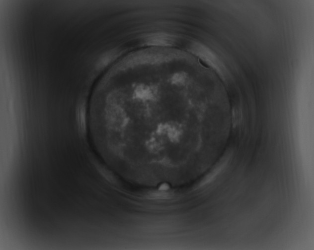 X0000100420349200806061408