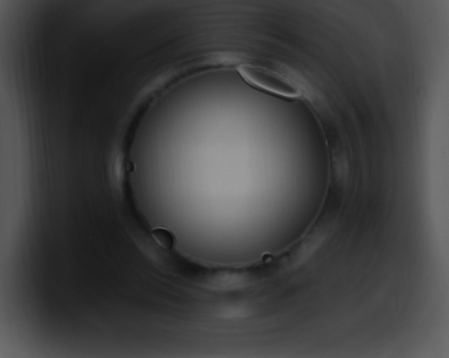 X0000100420350200806061408