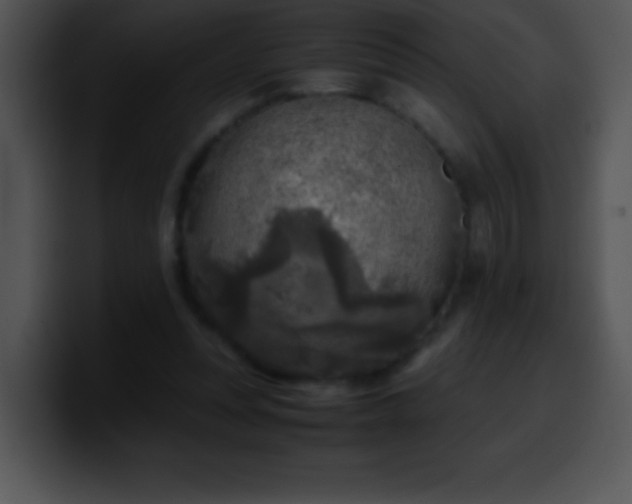X0000100420351200806061408