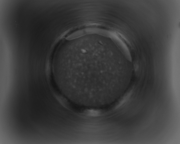 X0000100420352200806061408