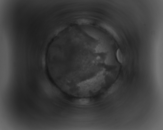 X0000100420353200806061408