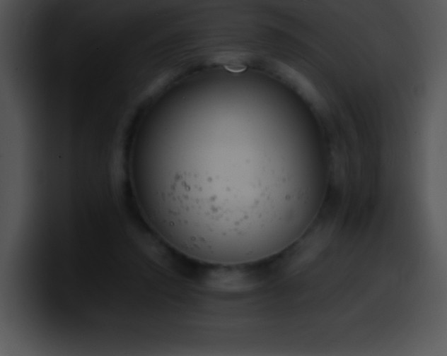 X0000100420354200806061408