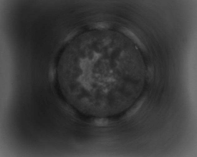 X0000100420355200806061408
