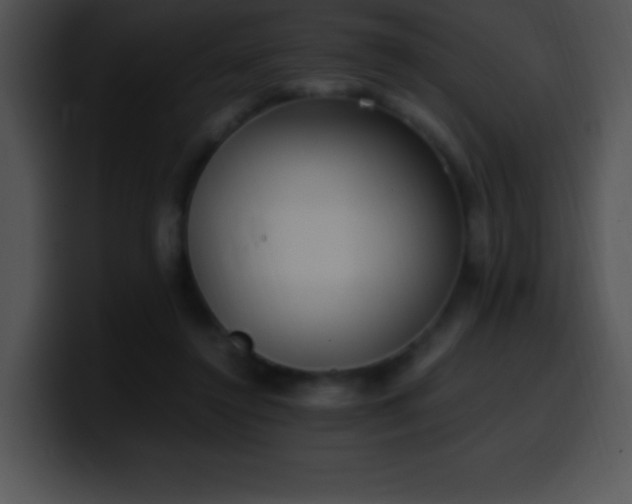 X0000100420356200806061408