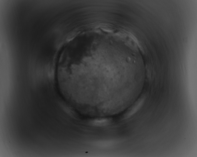X0000100420357200806061408
