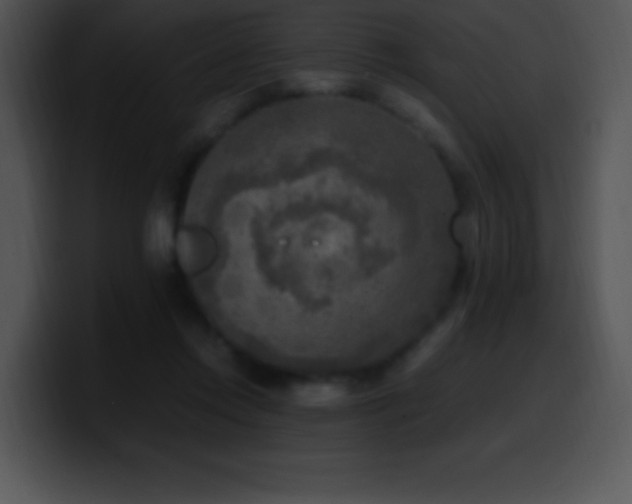 X0000100420358200806061408