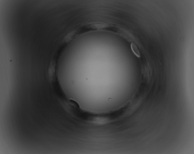 X0000100420360200806061408