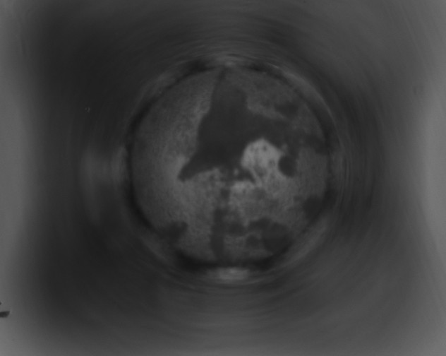 X0000100420361200806061408