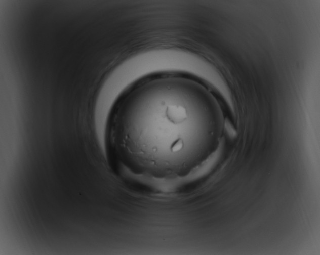 X0000100420362200806061408