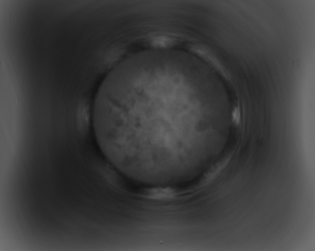 X0000100420363200806061408
