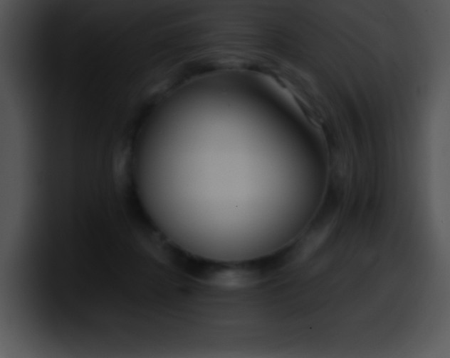 X0000100420364200806061408