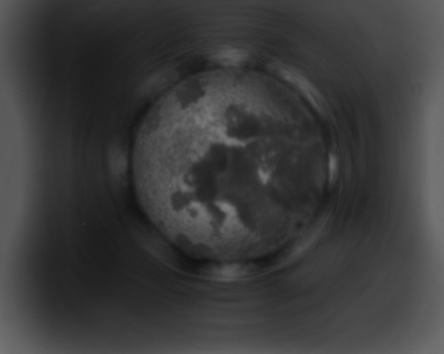 X0000100420365200806061408