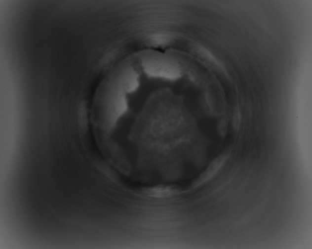 X0000100420366200806061408