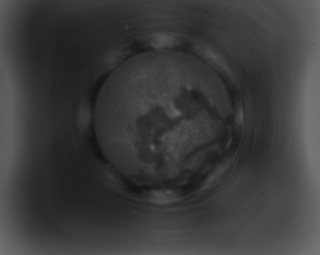 X0000100420367200806061408