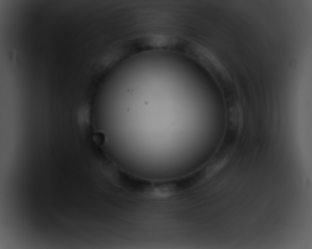 X0000100420368200806061408