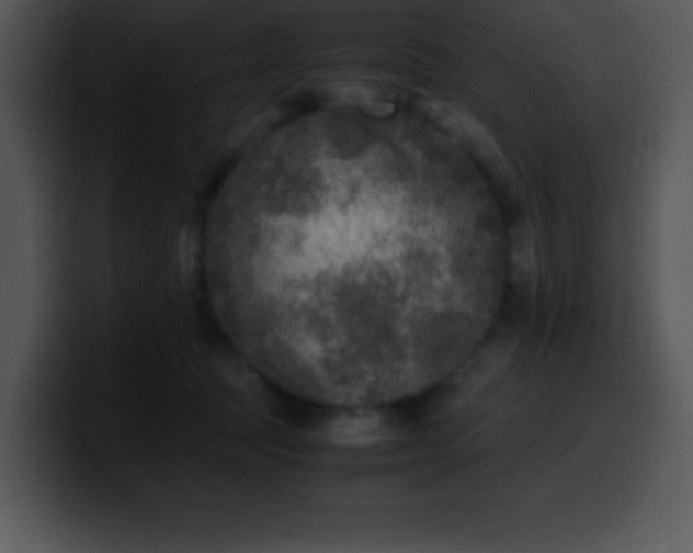 X0000100420369200806061408