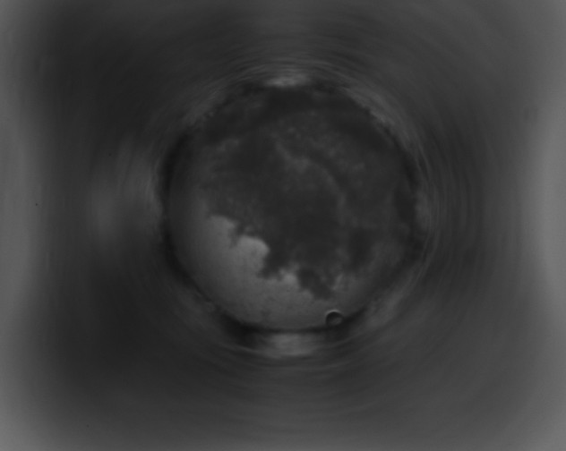 X0000100420371200806061408