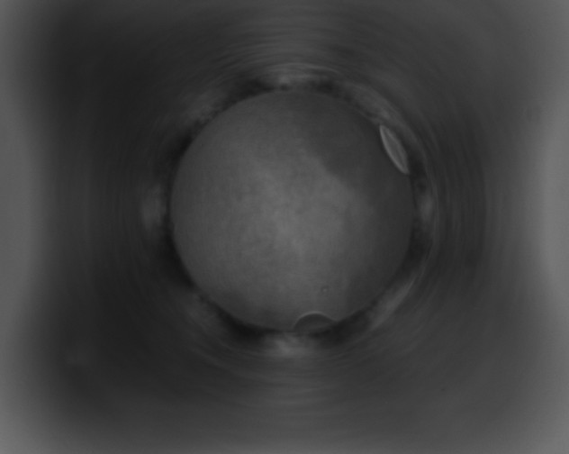 X0000100420372200806061408
