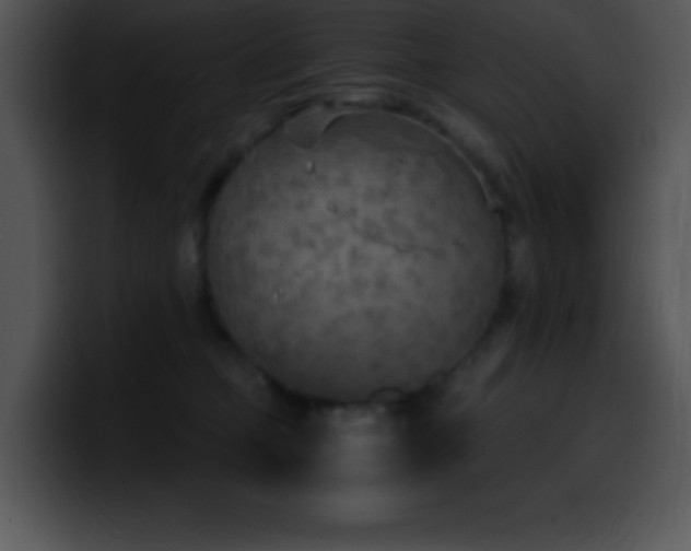 X0000100420373200806061408