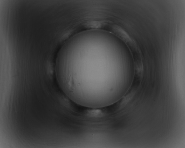 X0000100420374200806061408
