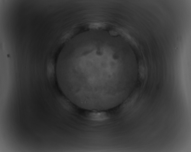 X0000100420375200806061408