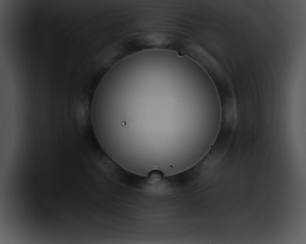 X0000100420376200806061408
