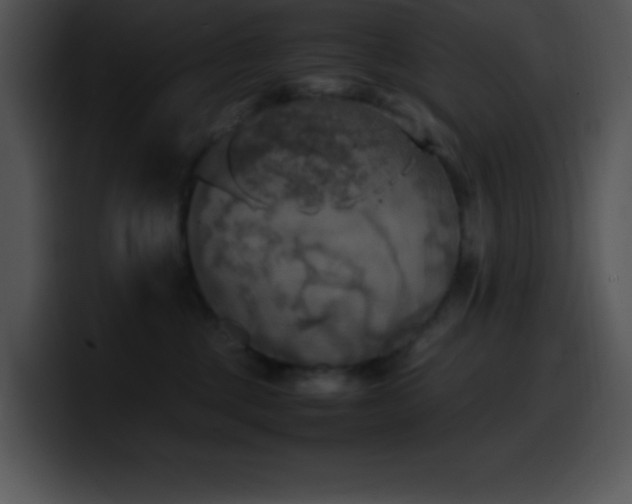 X0000100420377200806061408
