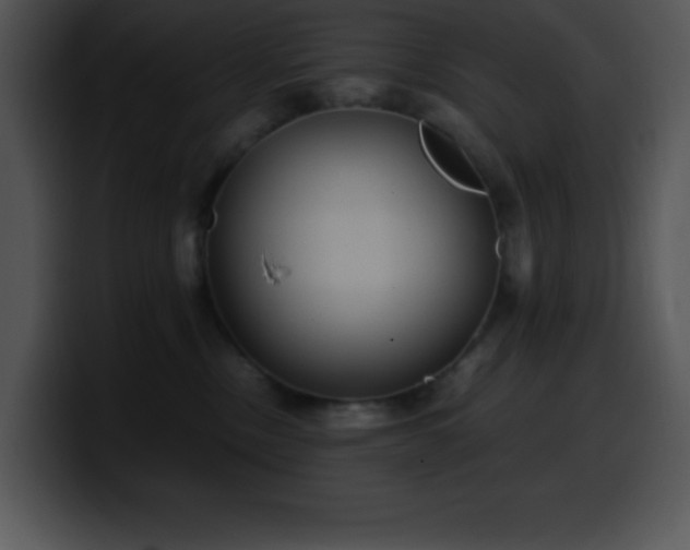 X0000100420378200806061408