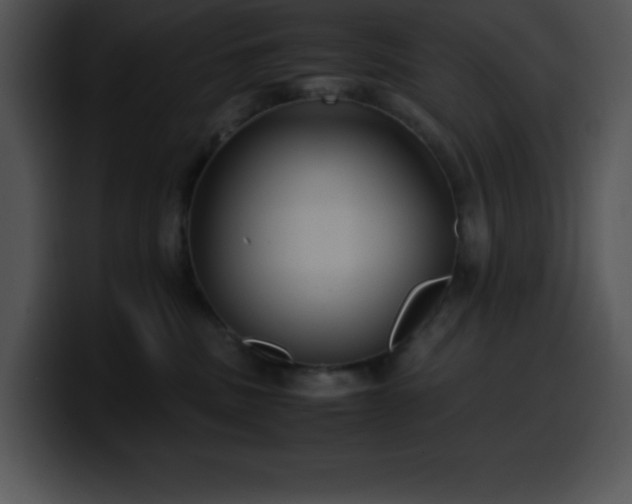 X0000100420379200806061408