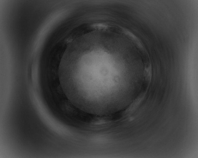 X0000100420381200806061408