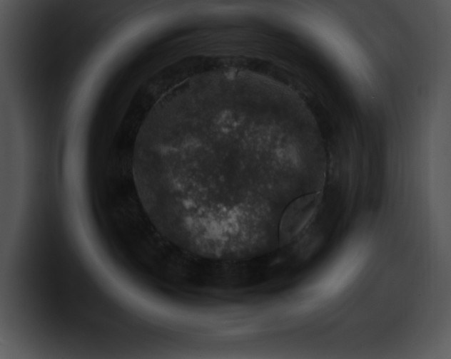 X0000100420383200806061408