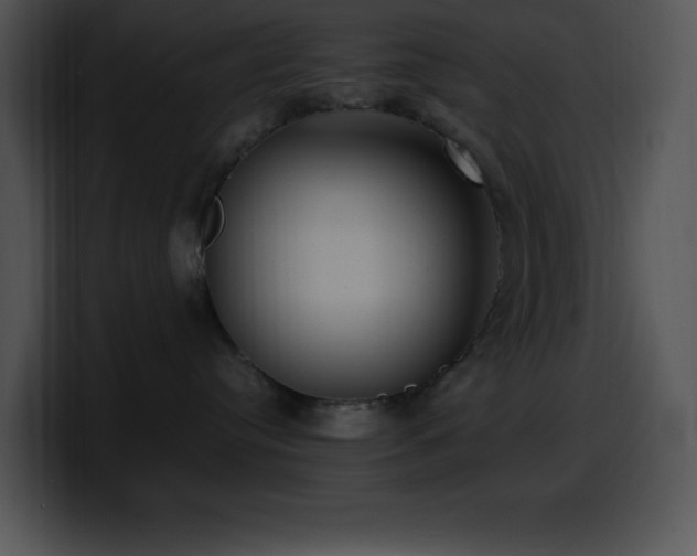 X0000100420384200806061408